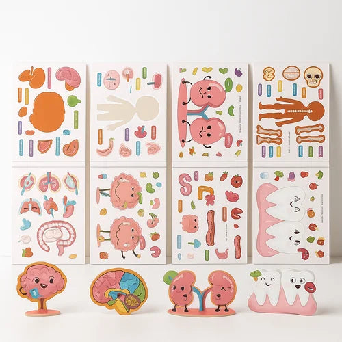 Happy Body Discovery Set